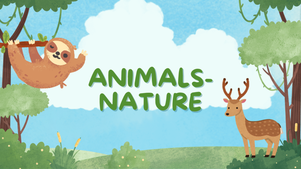 animal & nature